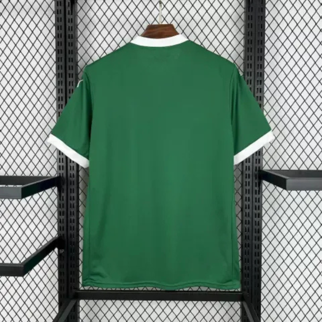 PALMEIRAS HOME 2025 FAN VERSION